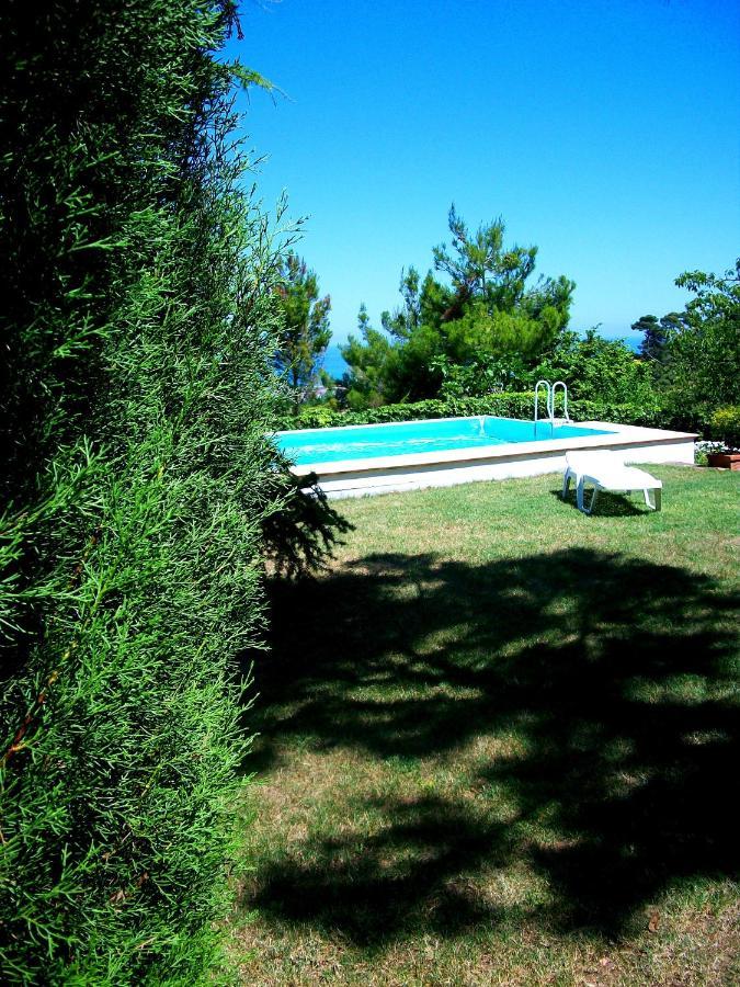 B&B Luna Blu Montesilvano Marina 外观 照片